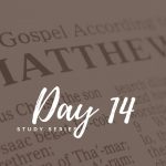 Matthew – Day 14 – The Rabbi and His Followers