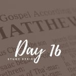 Matthew – Day 16 – Why Did They Drop Their Nets?