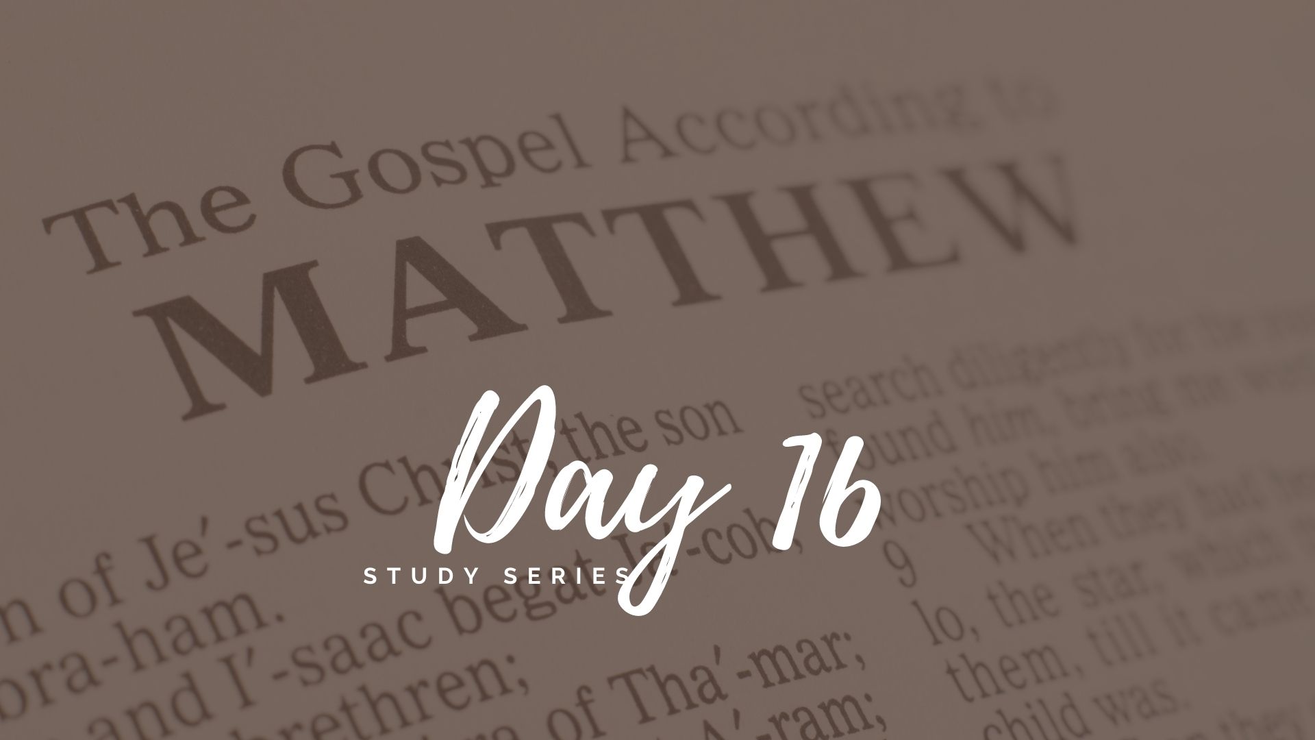 Matthew Bible Study Series Day 16
