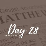 Matthew – Day 28 – Salt