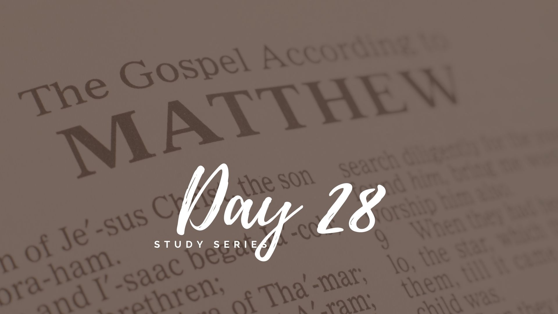 Matthew Bible Study Series Day 28