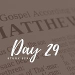 Matthew – Day 29 – Light