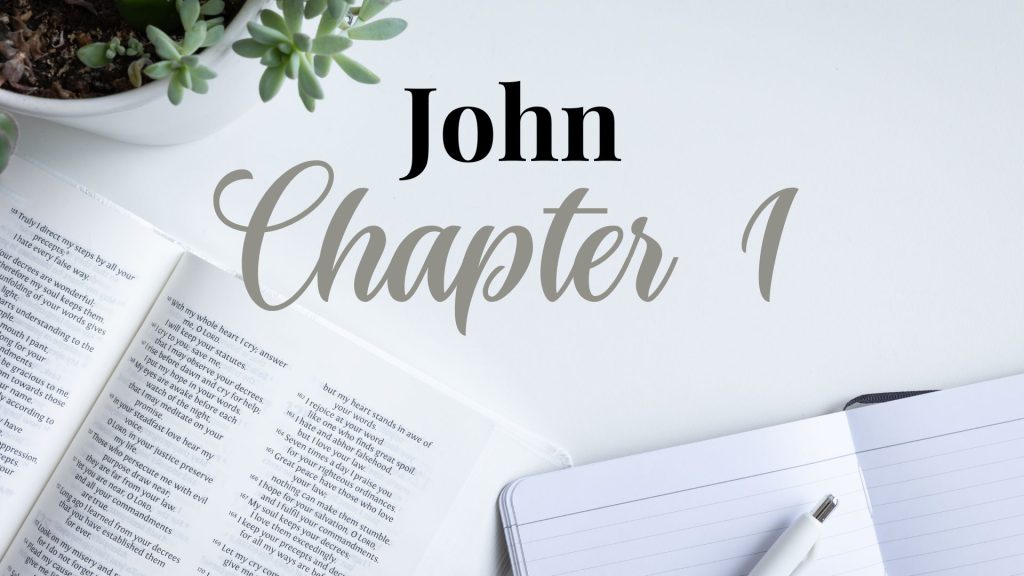 John Chapter 1 Daily Journal Study