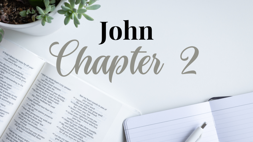 John Chapter 2 Daily Journal Study