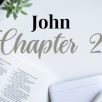 JOHN CHAPTER 2 – Daily Journal Questions