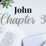 JOHN CHAPTER 3 – Daily Journal Questions