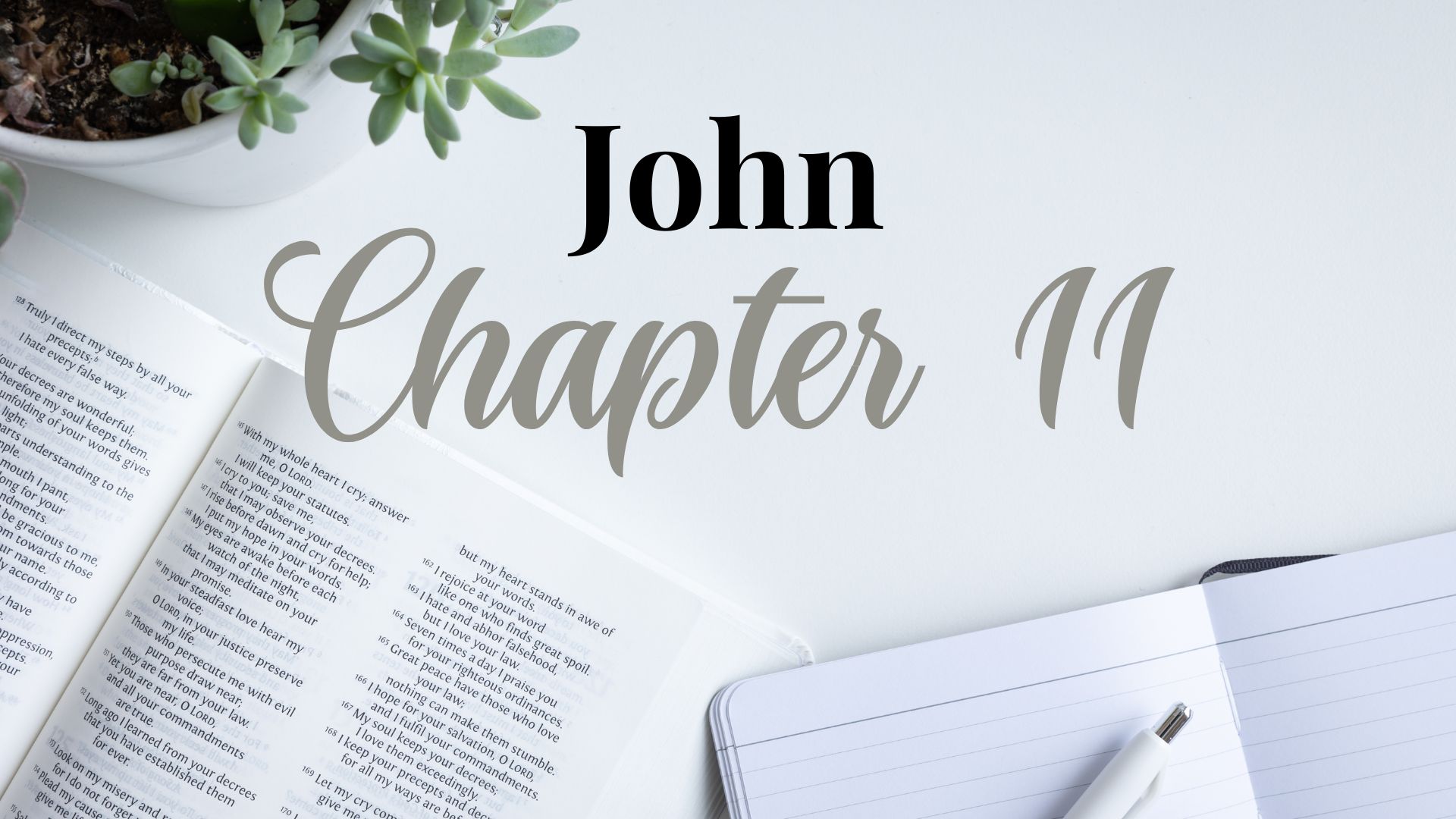JOHN CHAPTER 11