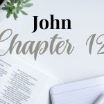 JOHN CHAPTER 12 – Daily Journal Questions