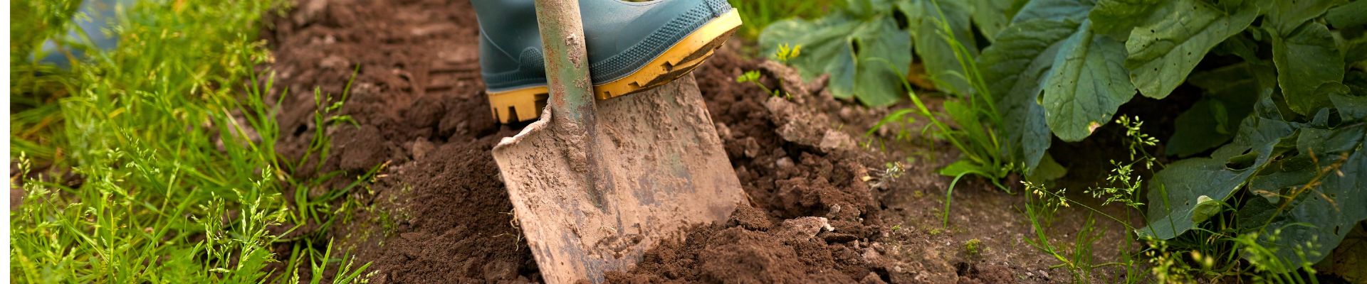 Digging deeper