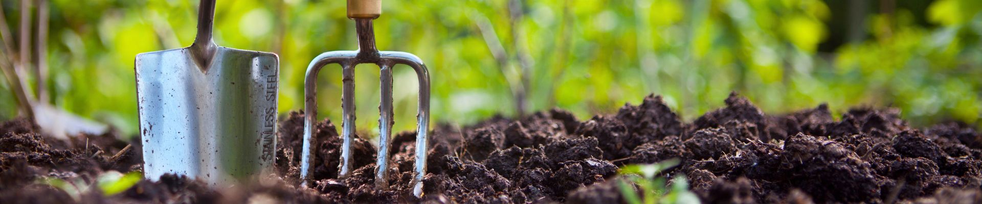 start digging