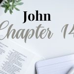 JOHN CHAPTER 14 – Daily Journal Questions