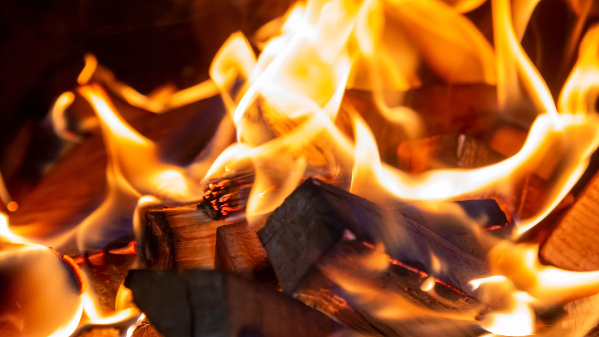 Let the Fire Burn