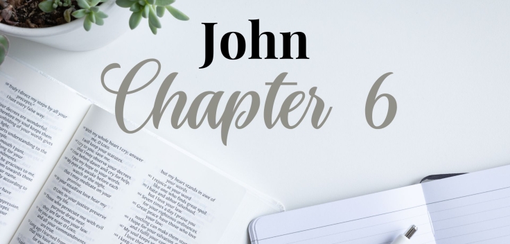 JOHN CHAPTER 6 - Daily Journal Questions - Living As Disciples